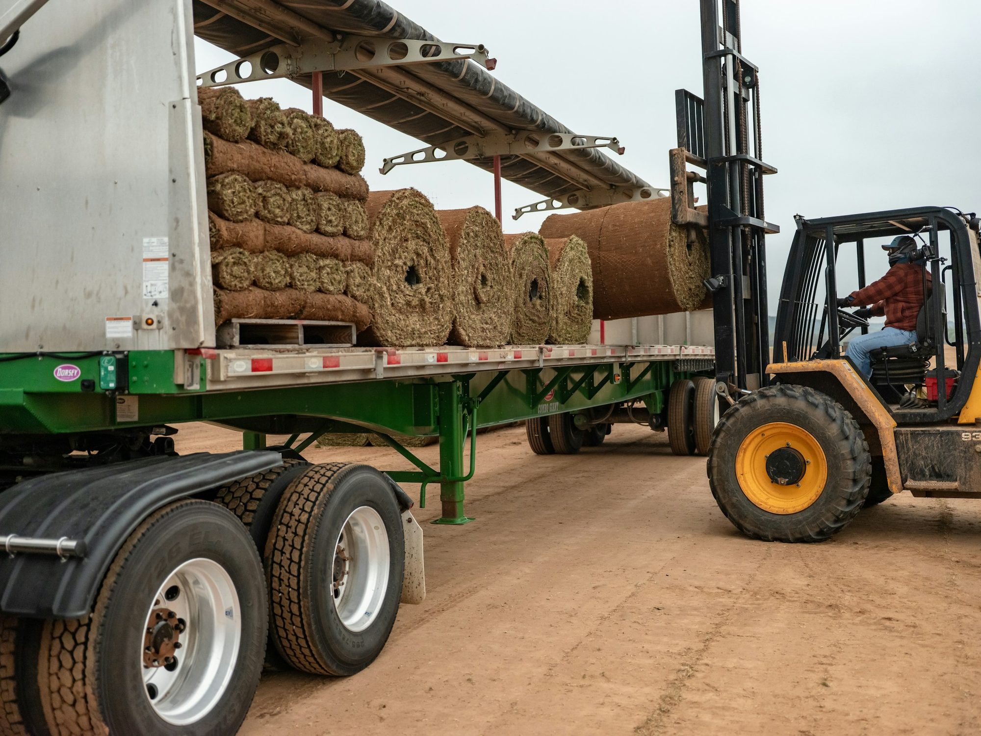 A forklift loading rolls of sod onto a flatbed trailer.